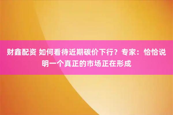 财鑫配资 如何看待近期碳价下行？专家：恰恰说明一个真正的市场正在形成