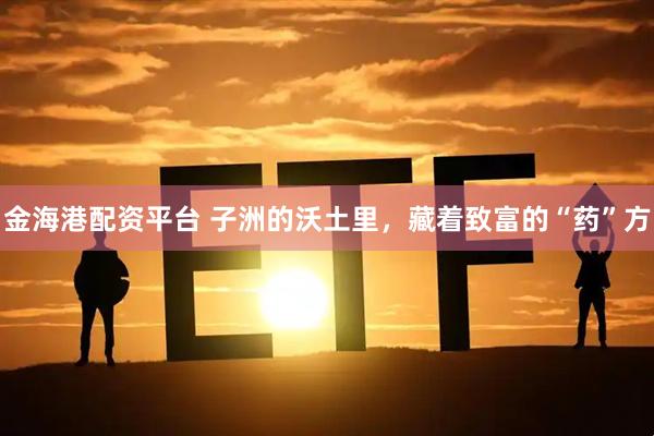 金海港配资平台 子洲的沃土里,藏着致富的“药”方